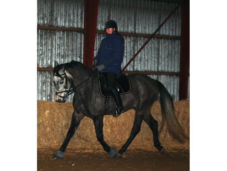 {{currentPhoto.altText}} billede {{currentPhoto.number}}