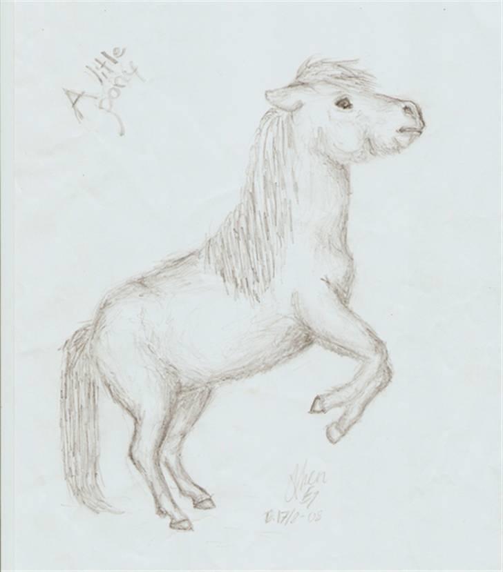 Mine tegninger... - En lille shetlandspony billede 2