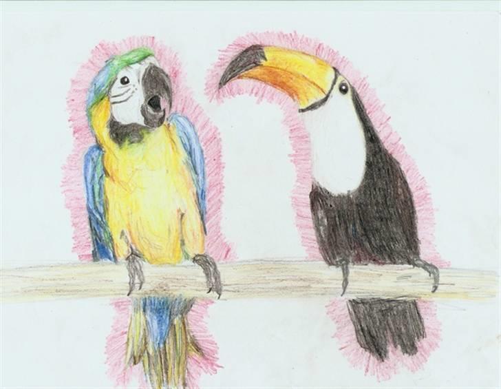 Mine tegninger... - To fugle... billede 8