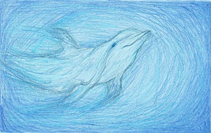 Mine tegninger... - Delfin tegnet på blåt parpir billede 10