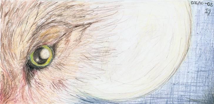 Mine tegninger... - En ulv og hvis nogen skulle være i tvivl er det en fuldmåne i bagrunden :) billede 11