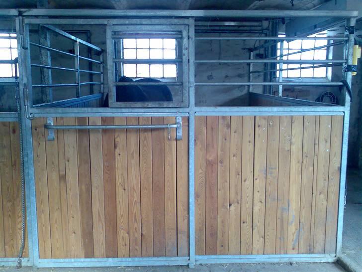 Grangården på Amager Charlie billede 4