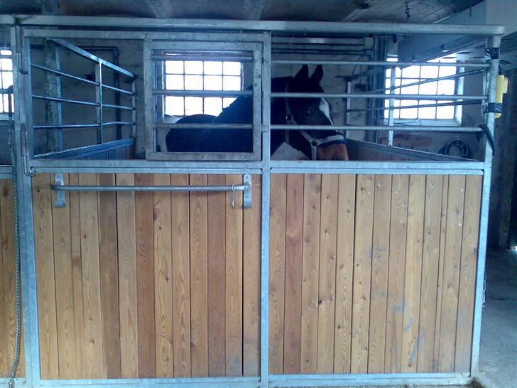 Grangården på Amager Charlie billede 5