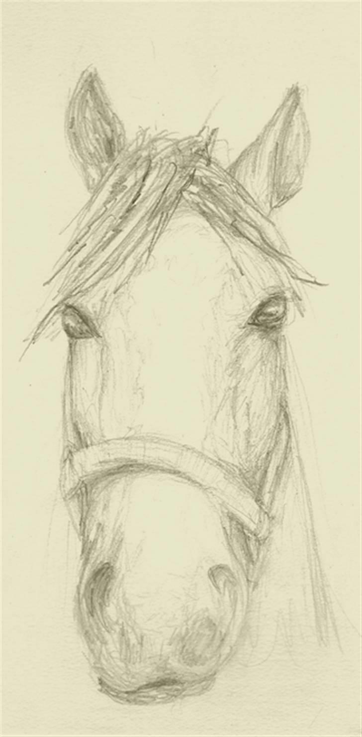 Mine tegninger... - Springhesten til ditte billede 12