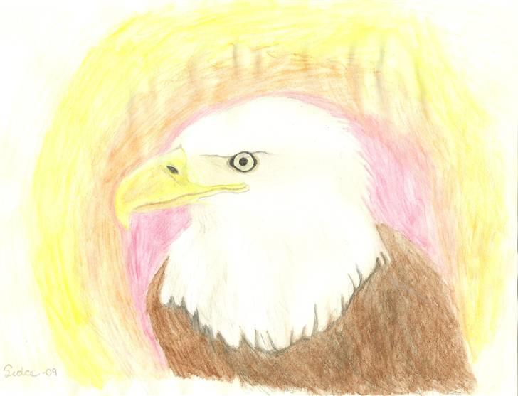 Tegninger(se dem) billede 20