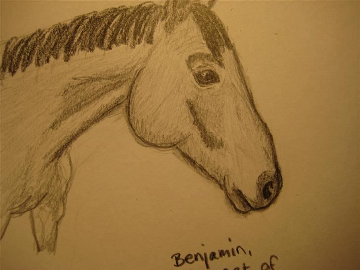 Tegninger  xD - 11}  Sku forestille benjamin xD efterår '08, tror jeg-. billede 12