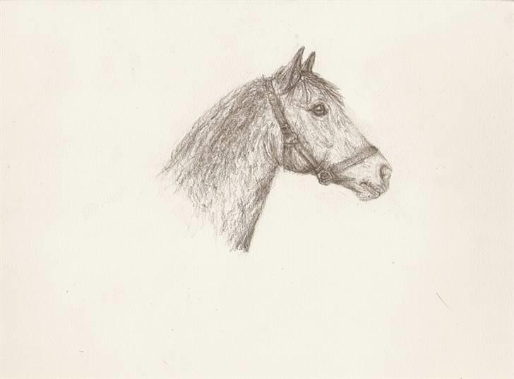 Mine tegninger... - Savoy billede 14