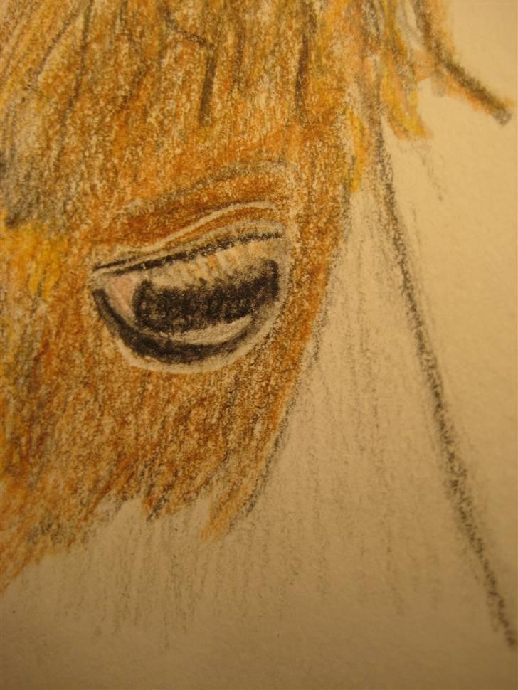 Tegninger  xD - 12} Chili's øje (;  (: efterår '08 tror jeg. billede 13