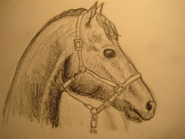 Tegninger  xD - 16} Hest fra et blad. Vinter '08. billede 17