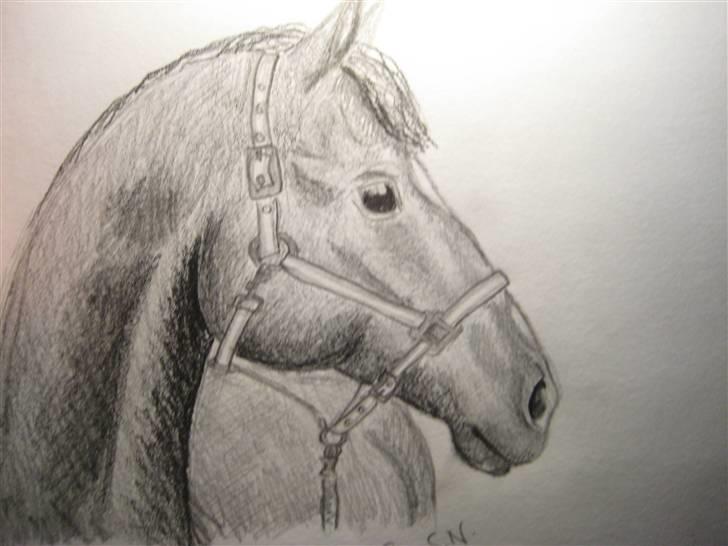 Tegninger  xD - Ógså tegnet efter én fra et HKM bad.... vinter '08. billede 21