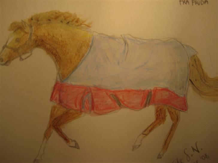 Tegninger  xD - Julegave til emilie (bare en hest, hun fik self oss noget andet ;b) ..Vinter '08. billede 22