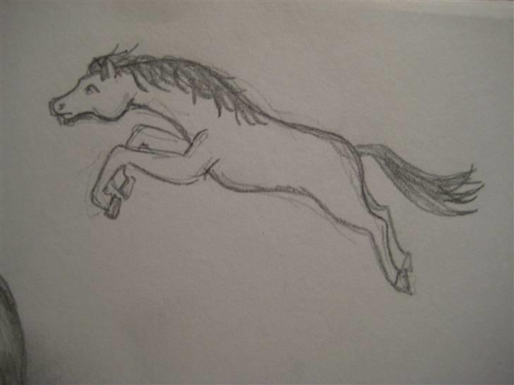 Tegninger  xD - Hurtig hest der springer .. ikk såå pæn.. vinter '08 billede 23