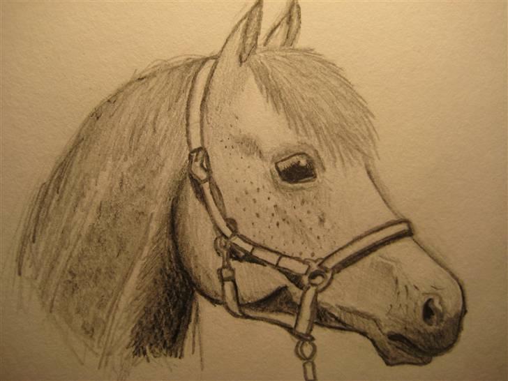 Tegninger  xD - Ret smukt hoved (syns jeg ihvertfald selv xD) tegnet efter et billede.... forår, '09. billede 25