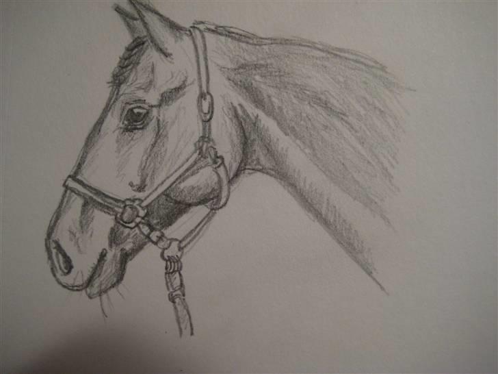 Tegninger  xD - Haha, tegnet efter billede i HKM blad.. men den blev anldrig helt færdig xD forår '09 billede 26