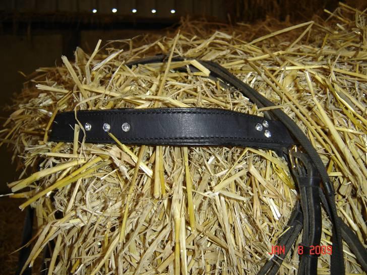 Lædersjov - Hesteting - Her kan i se det igen billede 18