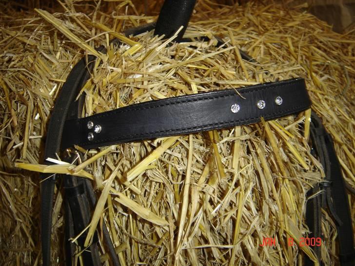 Lædersjov - Hesteting - Her kan i se det igen billede 19