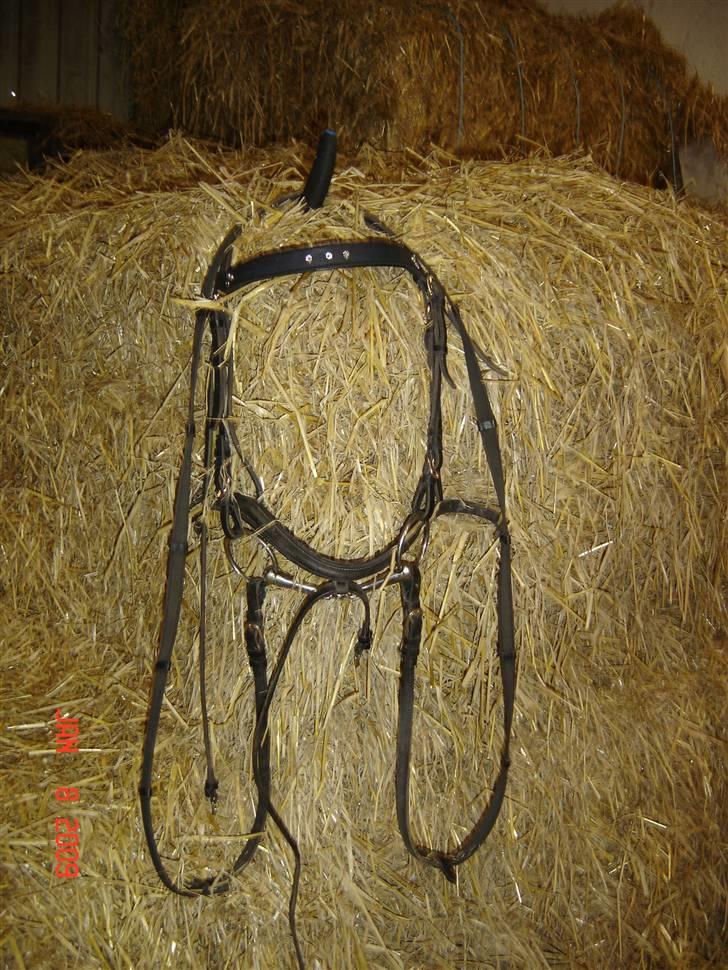 Lædersjov - Hesteting - Her kan i se det side på hovedtøjet billede 16