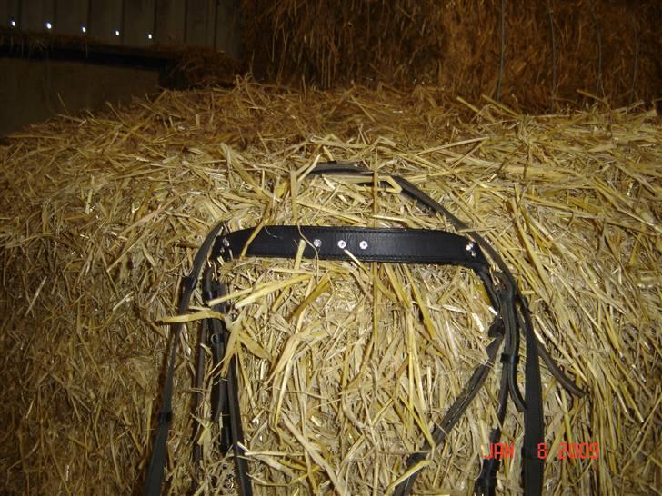 Lædersjov - Hesteting - Der er 9 sten på ialt billede 17