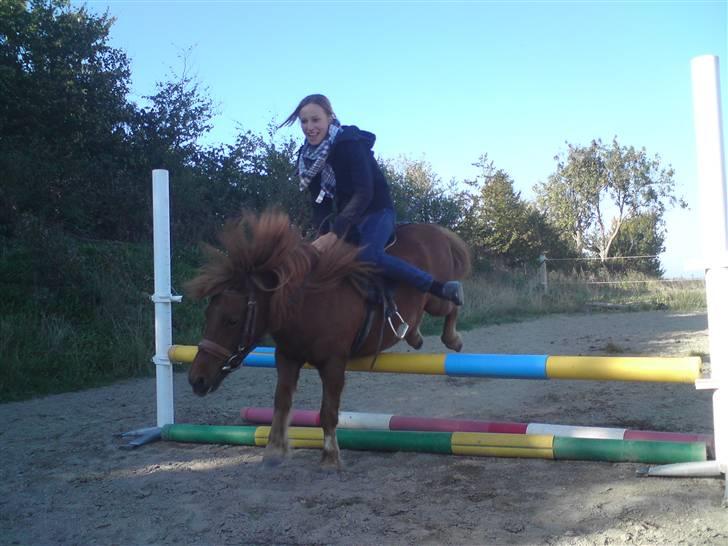 Det bedste jeg ved er: - Emilie på verdens mest elskede Mickey :') 

det er den pony jeg har fået flest skader af at ride :'D billede 10