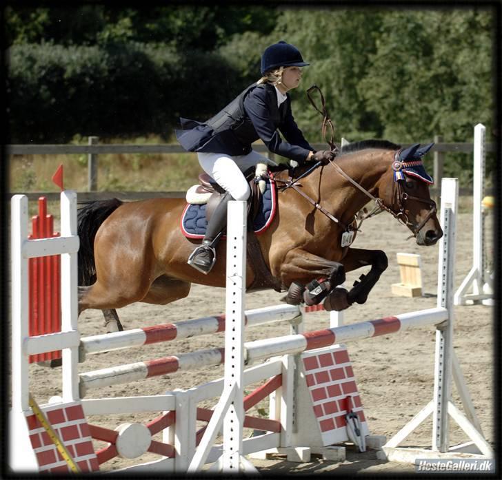 Det bedste jeg ved er: - Cawello min nr. 1!!!! <333 billede 16