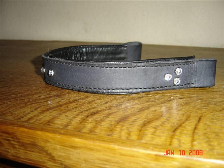 Lædersjov - Hesteting - Og her er den ene side billede 14