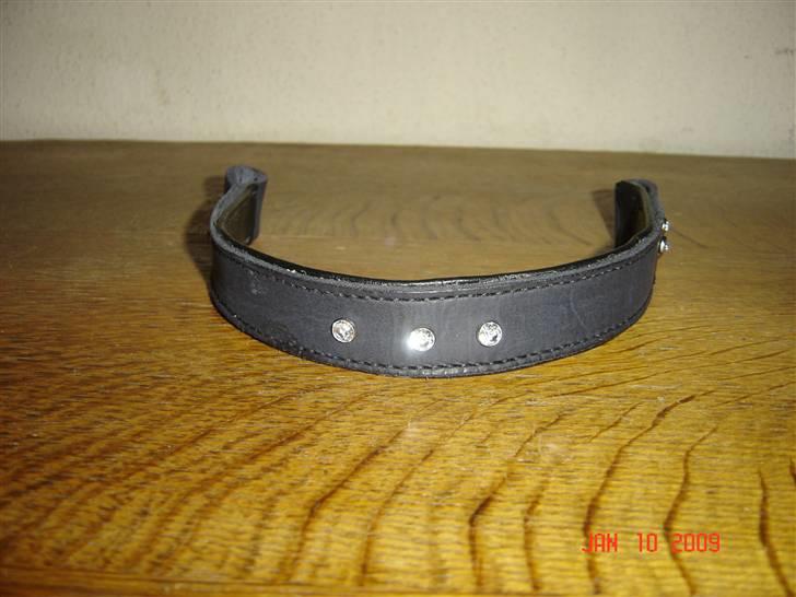 Lædersjov - Hesteting - Og igen billede 13