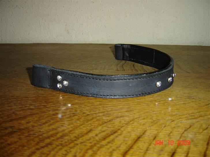 Lædersjov - Hesteting - Og den anden billede 15