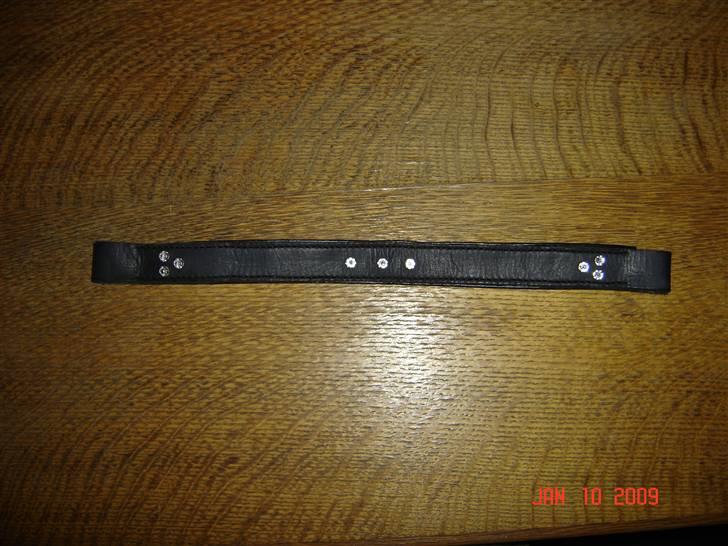 Lædersjov - Hesteting - Her kan i se hele pandebåndet billede 11