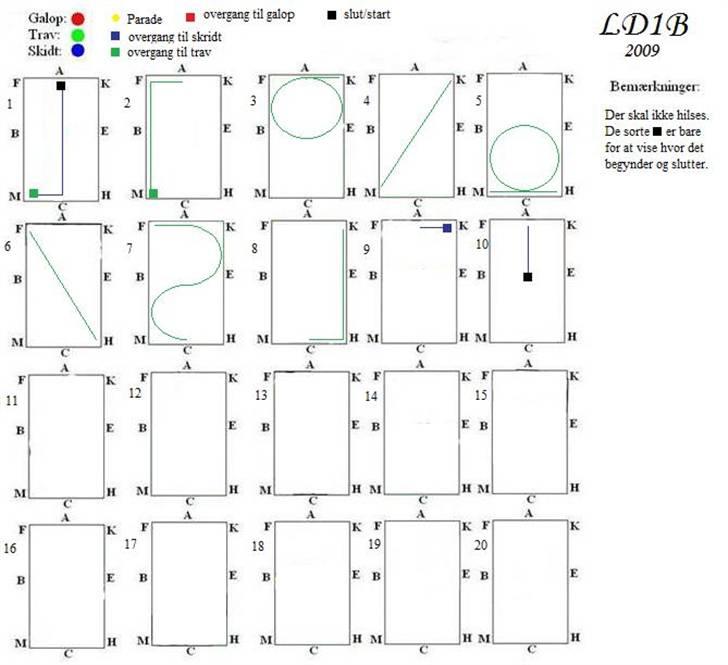 NYE dressur programmer - LD 1 B billede 1