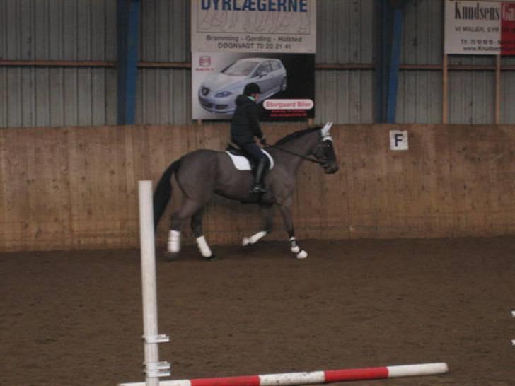 Springkursus ved Bo Bak Andersen billede 1