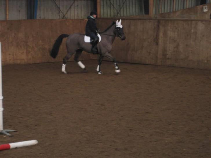 Springkursus ved Bo Bak Andersen billede 2