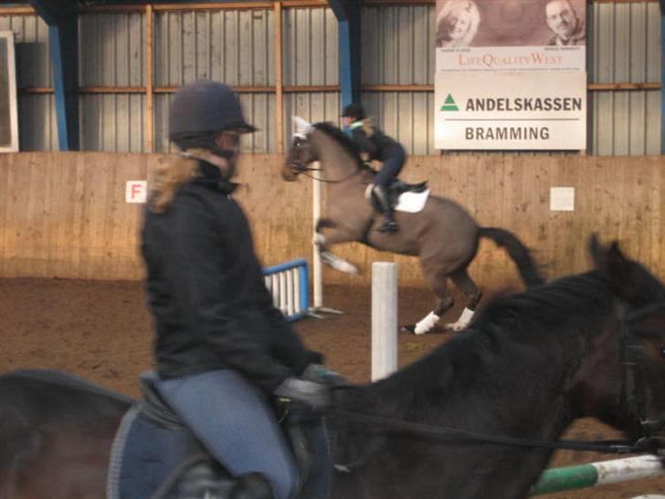 Springkursus ved Bo Bak Andersen billede 4