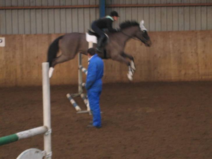 Springkursus ved Bo Bak Andersen billede 11