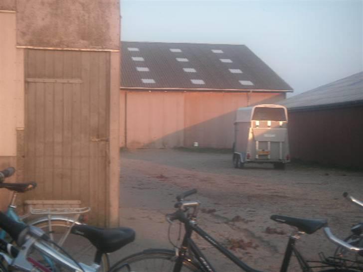 RINGKØBING RIDEKLUB - "Dette er Ringkøbing Rideklub." :'O billede 1