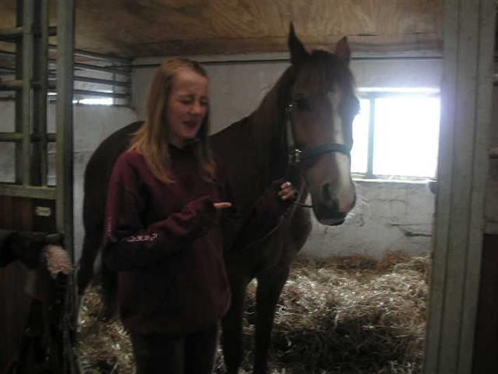 RINGKØBING RIDEKLUB - Lady er lidt træt af Rie? x'D billede 3