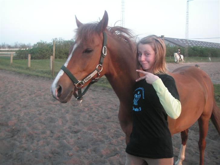 RINGKØBING RIDEKLUB - "Hvad?" billede 21