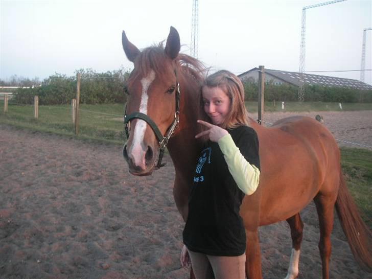 RINGKØBING RIDEKLUB - "Åh. Kamera." billede 22