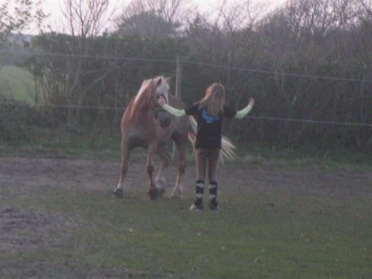 RINGKØBING RIDEKLUB - "Grrr. Du skal altså løbe!... Hov!"
"Auuuv! Du slog mig!"
"Vel gjorde jeg ej!"

- Hun slog ham ikke, men det ligner lidt at hun smasker ham en i ansigtet med hånden. d; x'D billede 32
