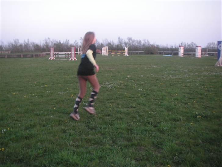 RINGKØBING RIDEKLUB - Når hestene nu er blevet kedelige, så tager Rie affære på springbanen! billede 44