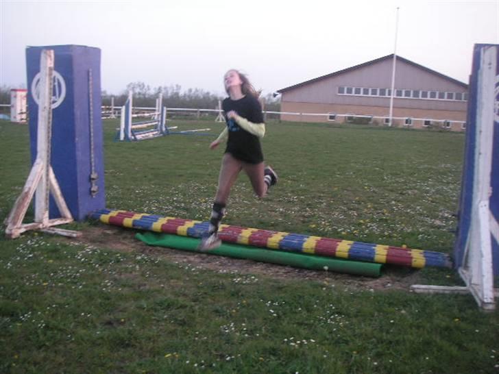 RINGKØBING RIDEKLUB - Oog hop ! billede 46