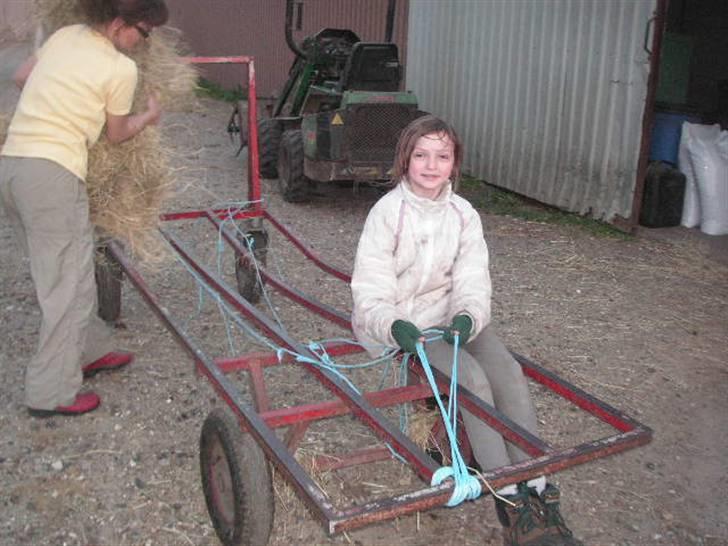 RINGKØBING RIDEKLUB billede 63