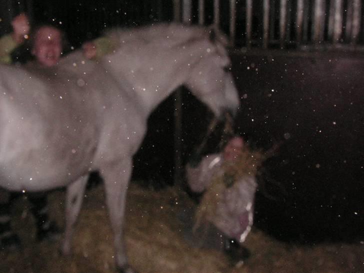 RINGKØBING RIDEKLUB billede 64