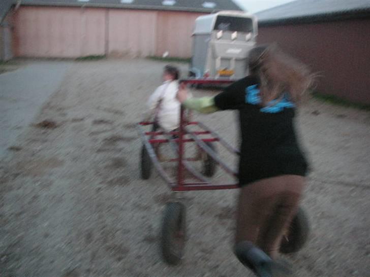 RINGKØBING RIDEKLUB billede 66