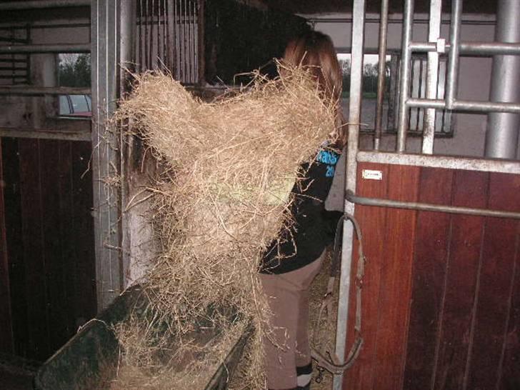 RINGKØBING RIDEKLUB billede 68