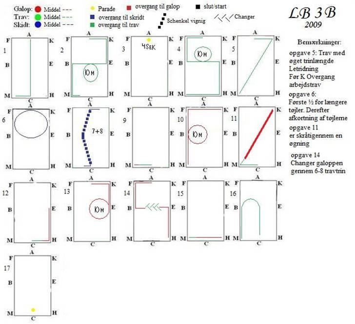 NYE dressur programmer - LB 3 B billede 4