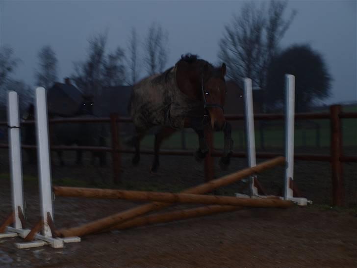  Min tid med Bansam <3 - 13 januar 09
løsspringning
havde lidt travlt så kunne ikk rigtig nå at instille kameraet
så billederne var blevet bedre men det da bedre end ingen ting ;D billede 33