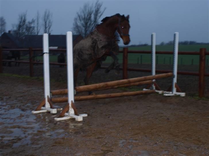  Min tid med Bansam <3 - 13 januar 09
løsspringning
havde lidt travlt så kunne ikk rigtig nå at instille kameraet
så billederne var blevet bedre men det da bedre end ingen ting ;D billede 32