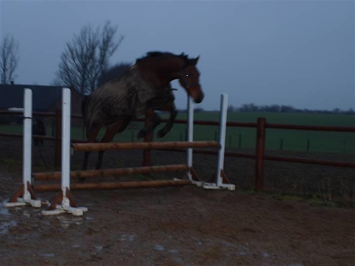  Min tid med Bansam <3 - 13 januar 09
løsspringning
havde lidt travlt så kunne ikk rigtig nå at instille kameraet
så billederne var blevet bedre men det da bedre end ingen ting ;D billede 30