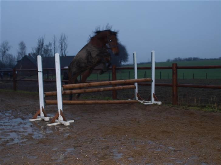  Min tid med Bansam <3 - 13 januar 09
løsspringning
havde lidt travlt så kunne ikk rigtig nå at instille kameraet
så billederne var blevet bedre men det da bedre end ingen ting ;D billede 29