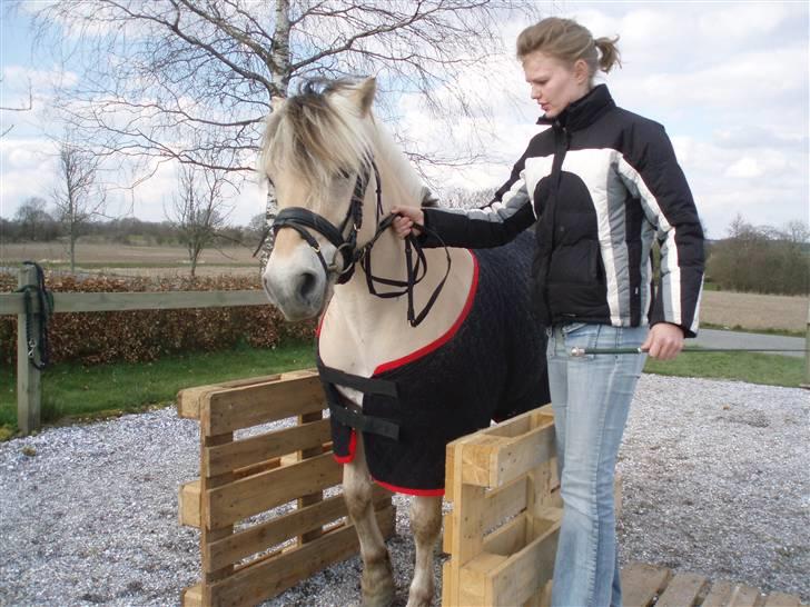 Diverse billeder af Gule billede 39